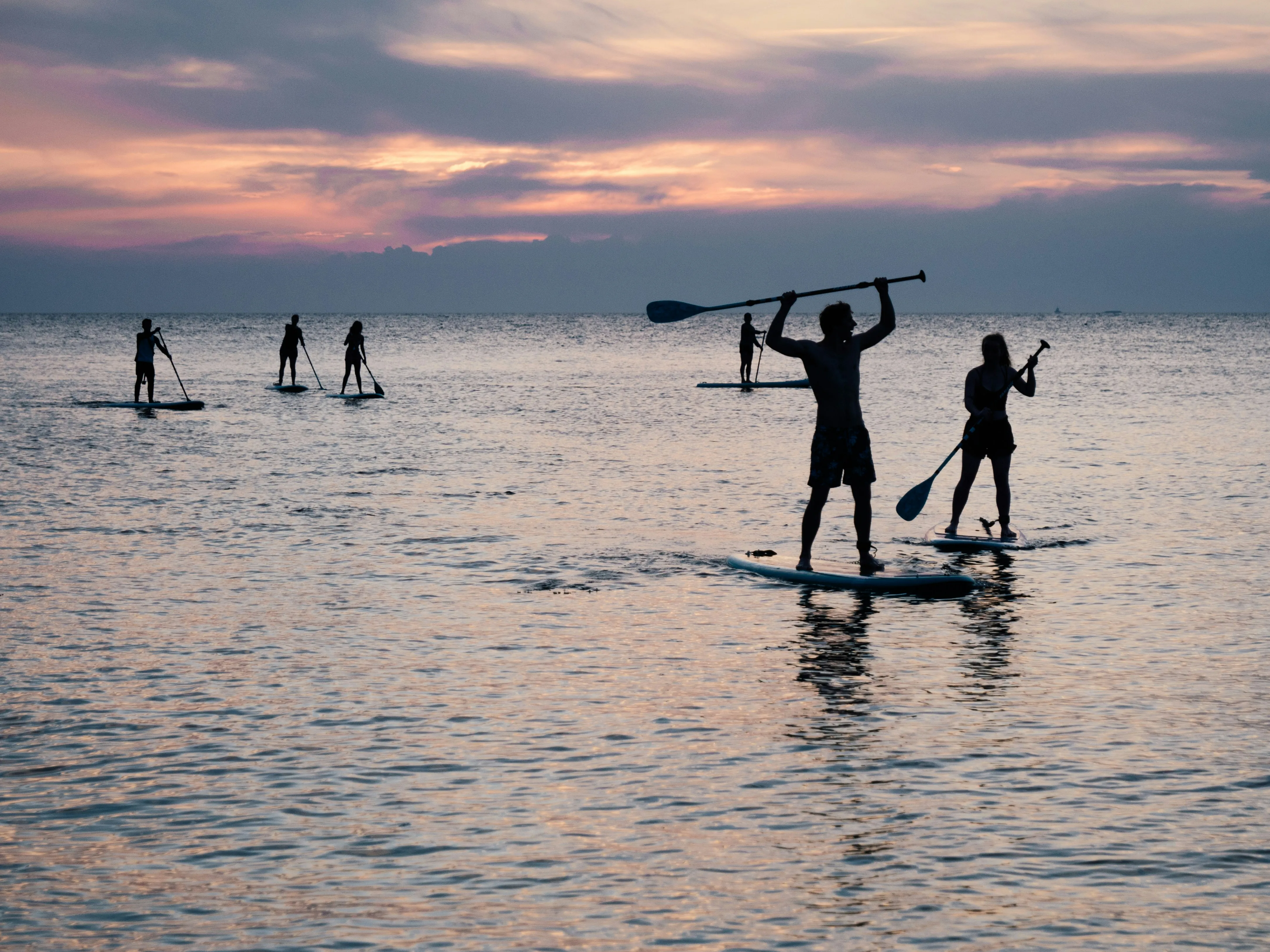 paddle board
